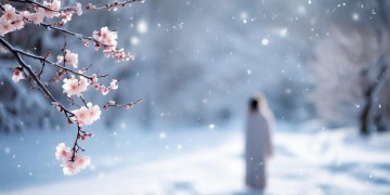 踏雪寻梅简谱对应的是什么歌？