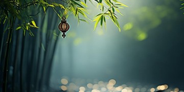 禅意人生淡然一笑究竟是哪首歌？