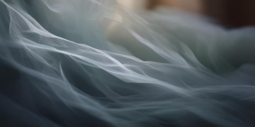 没来得及说抱歉出自哪首歌？