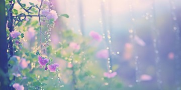 管他什么人世间出自哪首歌？