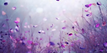 花千骨里面的配乐究竟叫什么歌？