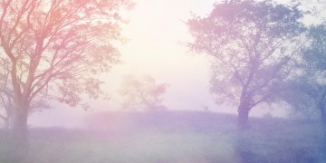 风在冷不再逃究竟是哪首歌?