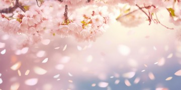 也被你征服是哪首歌？