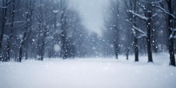 你走过什么飘的雪究竟是哪首歌？
