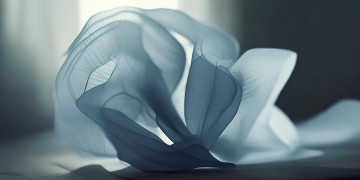 丢弃理想可以吗出自哪首歌？