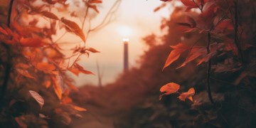 哪怕世界的两端出自哪首歌?