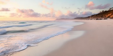 白色浪漫海岸出自哪首歌？
