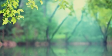 命里无时莫强求出自什么歌？