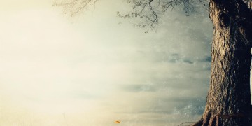 时间飞逝15年了出自哪首歌?