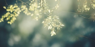 再次与空气握手究竟是哪首歌？