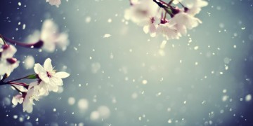 相思之后是什么歌名？