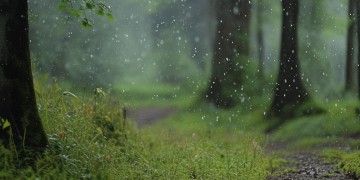 三月里的雨出自哪首歌？