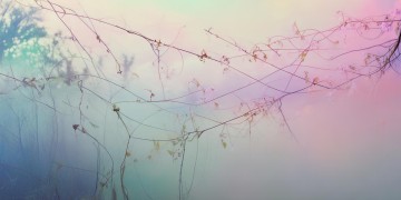 我的情迷迷茫茫能对应哪些歌曲呢？