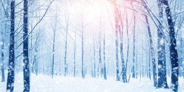 雪下得太早这句歌词出自哪首歌？
