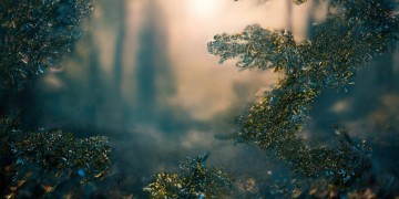 启示录里面的歌究竟叫什么名？