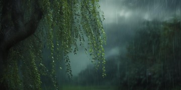 风雨相关的歌曲中哪首最伤感？