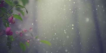 清晨下雨想着你究竟是哪首歌？