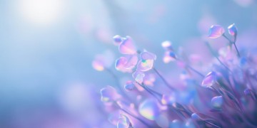 我们曾经如此美丽究竟是哪首歌？