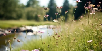 告别不停的厮杀出自哪首歌？