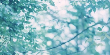 凉快的照片到底是什么歌？