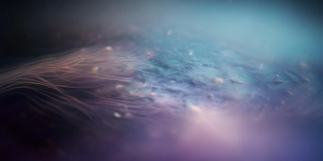 了入红尘出自什么歌?