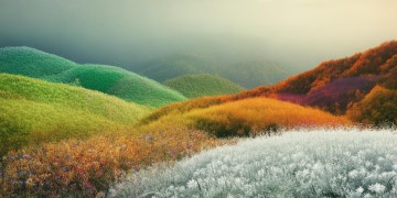 看着四季的变化出自哪首歌？