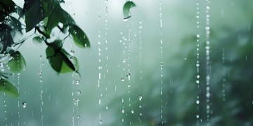 那天也下着小雨是哪首歌？