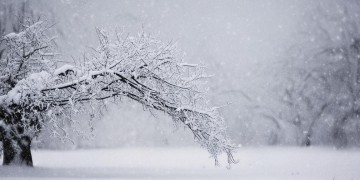 感情中你有多绝情究竟是哪首歌？