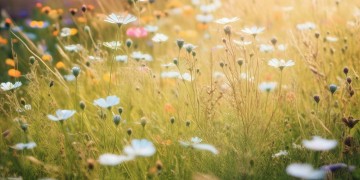 让我重返青春究竟是哪首歌？