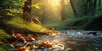 最近千辛万苦是哪首歌？