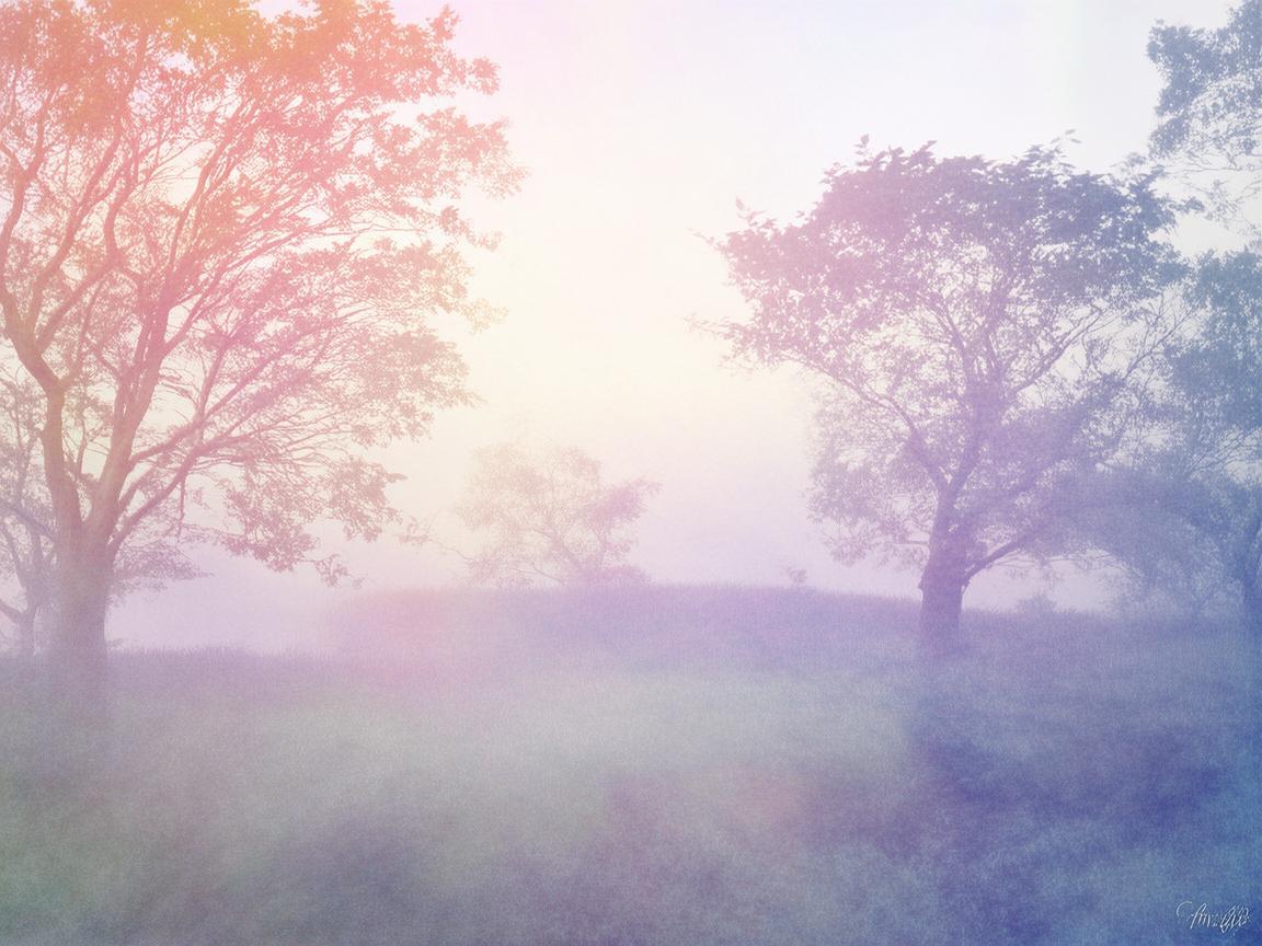 风在冷不再逃究竟是哪首歌? 风在冷不再逃究竟是哪首歌?