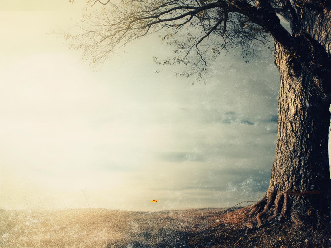 时间飞逝15年了出自哪首歌? 时间飞逝15年了出自哪首歌?