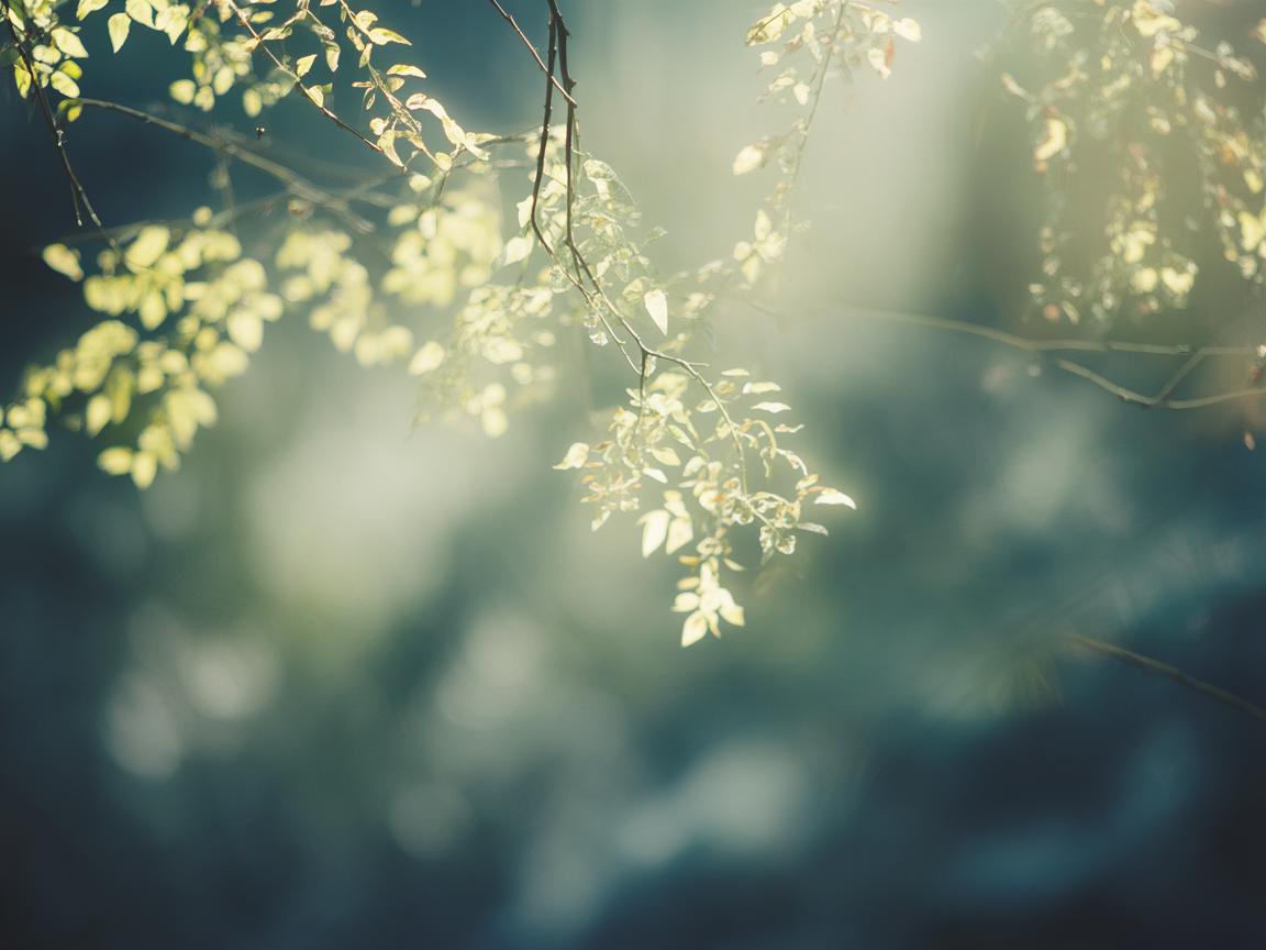 再次与空气握手究竟是哪首歌？