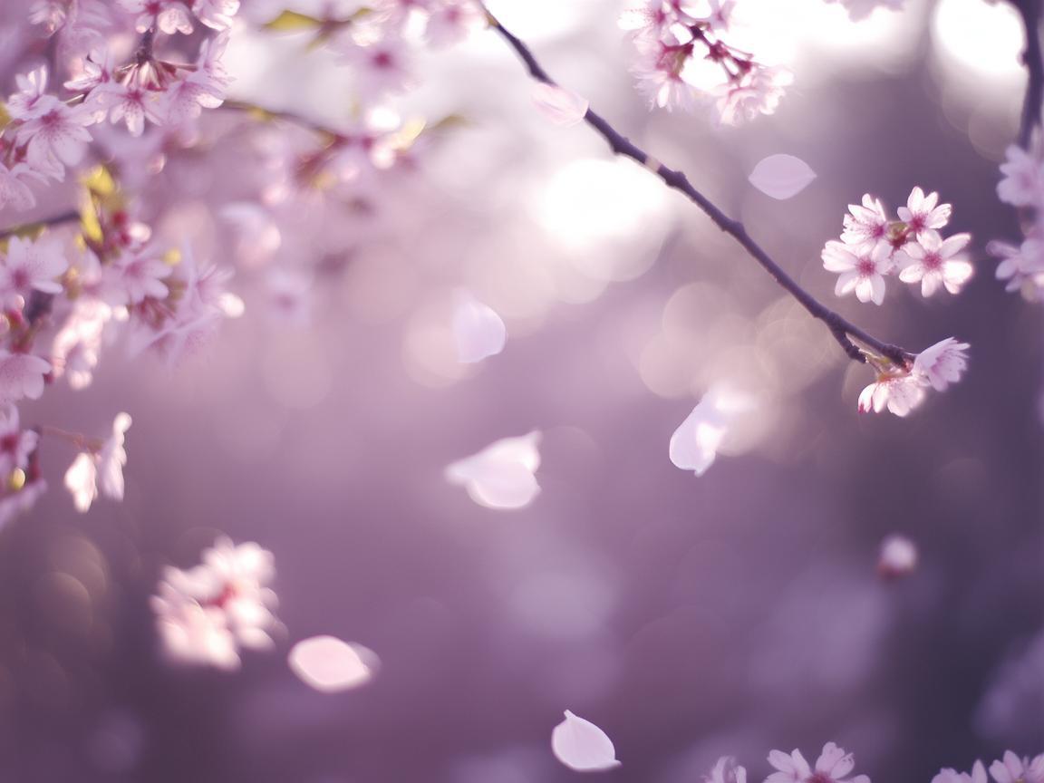 有苦有你才幸福究竟是哪首歌? 有苦有你才幸福究竟是哪首歌?